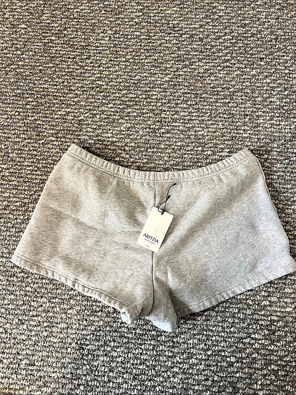 Aritzia Cozy Sweatfleece Boyfriend Lo-Rise Mini Short Gray Small